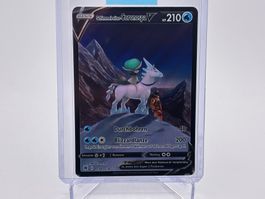 Astralglanz  - Schimmelreiter-Coronospa V  (ASR TG14) - DE